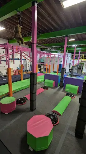 All Out Ninja Sarnia Sarnia