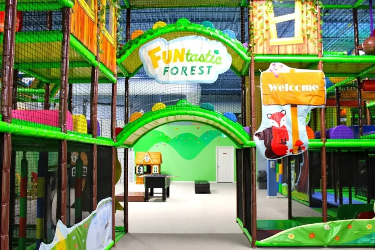 FUNtastic Forest Concord 2 768x512