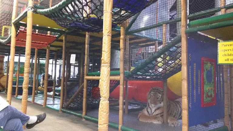 Go Bananas North Vancouver North Vancouver 1 768x432