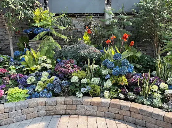 Muttart Conservatory Imagination Station Play Area Edmonton