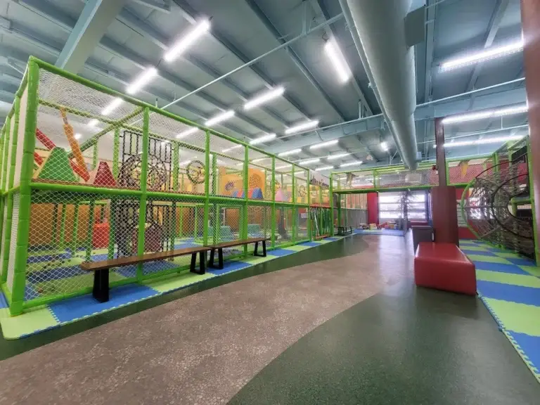 O Puces Pocus 1 768x576